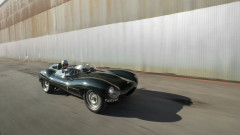 1955 Jaguar D-Type with Driver